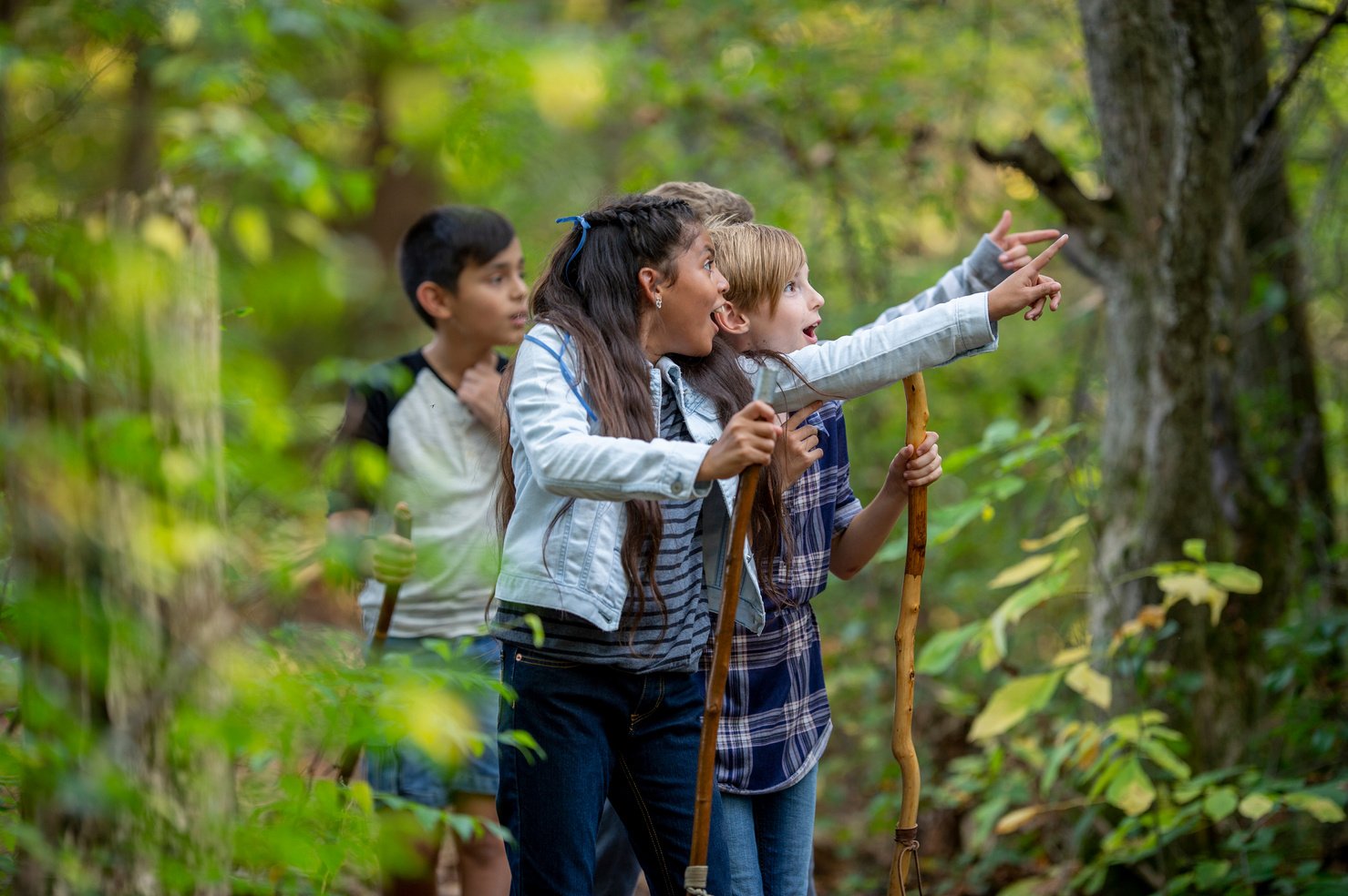 Elementary school kids hiking